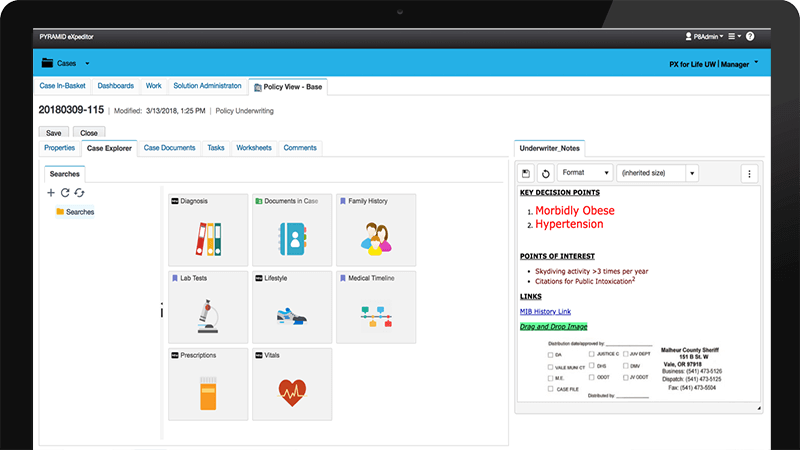 IBM Case Management